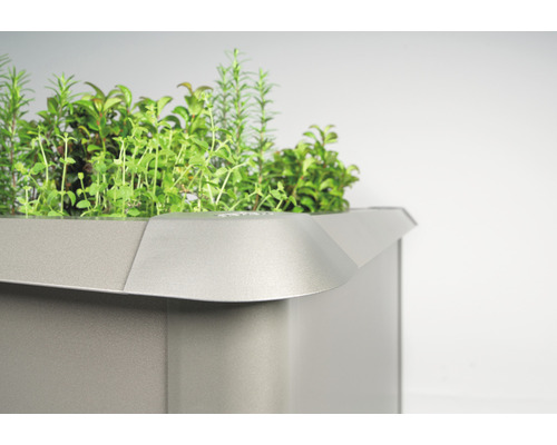 Detailansicht eines Hochbeets mit verschiedenen Kräutern.