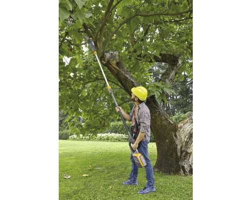 Mann mit Hochentaster beim Baumschnitt im Garten
