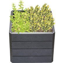 Hochbeet aus Holz mit Kräutern und Gemüse