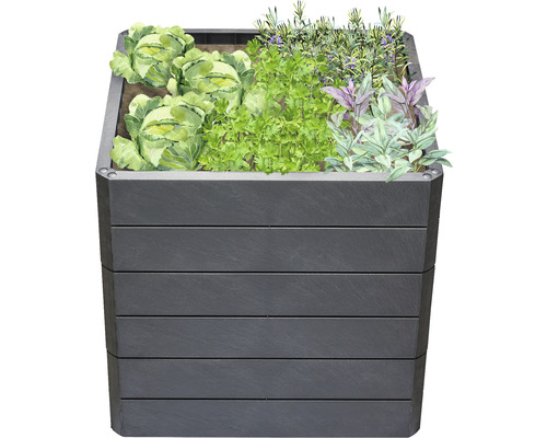 Hochbeet mit Kohl und Kräutern