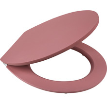 Toilettendeckel aus Kunststoff