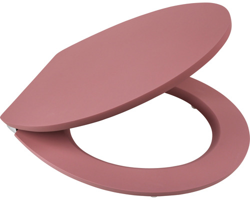 Toilettendeckel aus Kunststoff