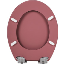 Toilettensitz aus Kunststoff mit Chrombeschlägen
