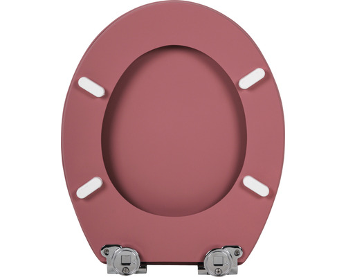 Toilettensitz aus Kunststoff mit Chrombeschlägen