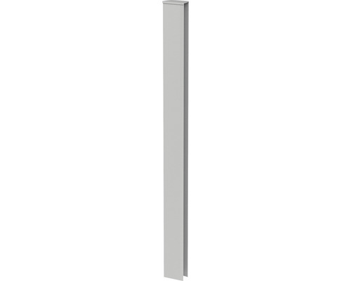 Eckprofil Biohort Abschluss Rankgitter/Sichtschutz für DaVinci quarzgrau-metallic Eckprofil