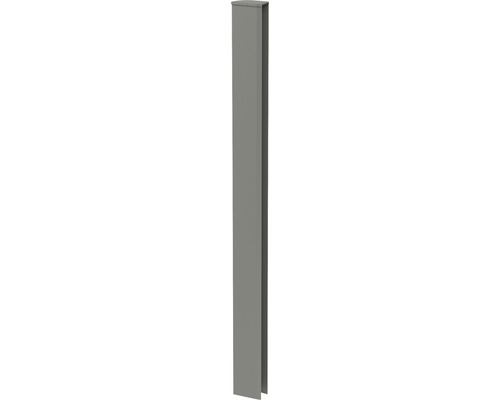 Eckprofil Biohort Abschluss Rankgitter/Sichtschutz für DaVinci dunkelgrau-metallic Profilleiste