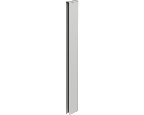 Verbindungsprofil Biohort Rankgitter/Sichtschutz für DaVinci silber-metallic Eckprofil aus Metall