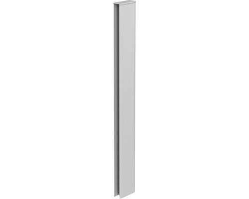 Eckprofil Biohort Abschluss Rankgitter/Sichtschutz für DaVinci silber-metallicallic Aluminium Eckprofil