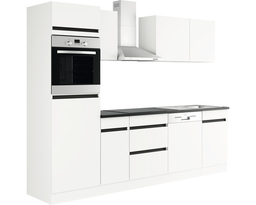 Küchenzeile mit Backofen, Dunstabzugshaube, Spüle und Geschirrspüler