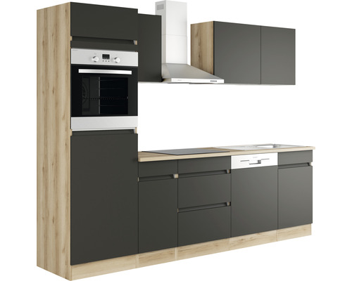 Moderne Küche mit Einbaubackofen, Dunstabzugshaube und Geschirrspüler.