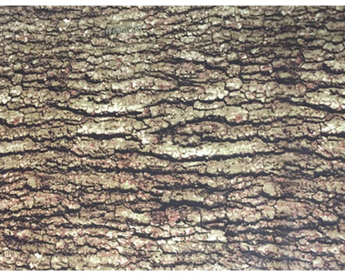 Wassertransferdruck Folie Camouflage CA-R-004 natur 100 x 50 cm Nahaufnahme einer Baumrinde mit rauer Textur