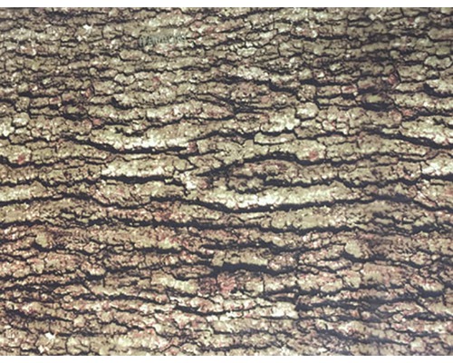 Wassertransferdruck Folie Camouflage CA-R-004 natur 100 x 50 cm