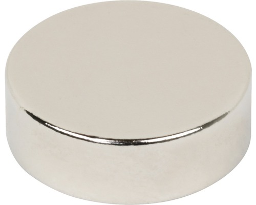 ITALFITMAGNETI Neodym-Magnetblöcke – 20 Stück, 10x10x5 Mm, Haftkraft 2,1 Kg, Nickelbeschichtet