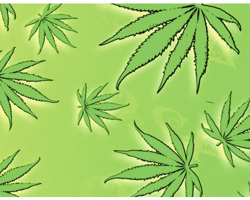 Wassertransferdruck Folie Tarn-Optik CA-R-038 100 cm breit (Meterware) Illustration mit Cannabis Blättern