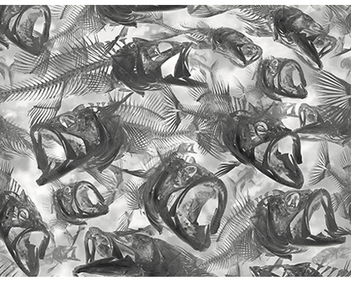 Wassertransferdruck Folie Tier-Optik CA-R-050 100 cm breit (Meterware) Abbildung eines Musters mit Fischskeletten