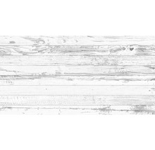 Feinsteinzeug Wandfliese Tribeca 32,0x62,5 cm weiß matt-thumb-0 Feinsteinzeug Wandfliese Tribeca 32,0x62,5 cm weiß matt-thumb-0