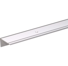 Aluminium Treppenkantenprofil mit Schraublöchern
