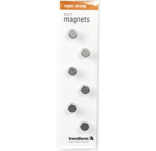 Sechs Bolzenmagnete in Verpackung