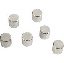 Sechs zylindrische Magnete