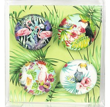 Vier tropische Magnete mit Flamingo-, Kakadu- und Tukanmotiven