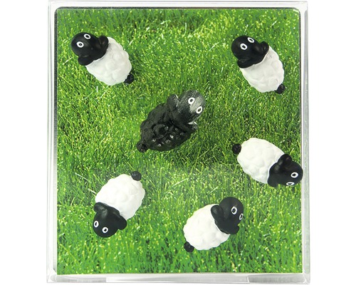 Dekorative Miniatur-Schafe auf Rasenhintergrund