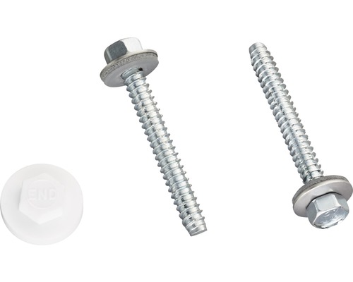 Sechskant 6,3 x 50 mm silber 20 Stück Zwei Schrauben mit Dichtscheibe und eine Endkappe