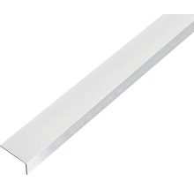 Winkelprofil Alu kugelgestrahlt silber selbstklebend 20x10x1 mm, 1 m