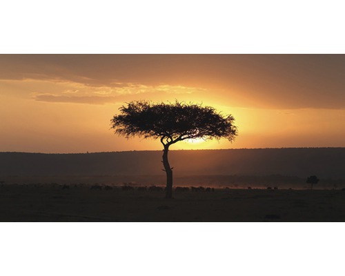 Infrarot Bildheizung Motiv 7187055 100x80 cm 780 Watt Savannenlandschaft mit Baum bei Sonnenuntergang