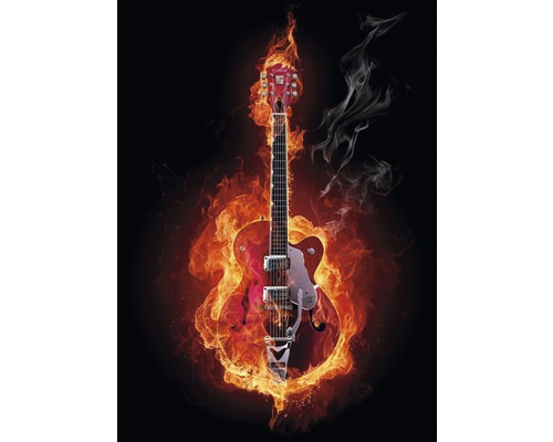 Infrarot Bildheizung Motiv 7599687 100x80 cm 780 Watt Gitarre mit Flammeneffekt