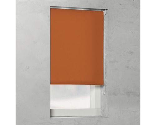 Soluna Tageslichtrollo T6, uni terra, 60x190 cm Soluna Tageslichtrollo T6, uni terra, 60x190 cm