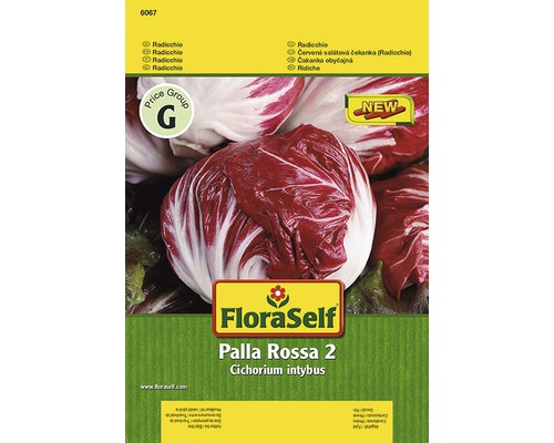 Radicchio 'Palla Rossa 2' FloraSelf samenfestes Saatgut | HORNBACH AT