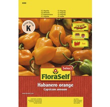 Chili 'Habanero' FloraSelf Select samenfestes Saatgut Gemüsesamen-thumb-0