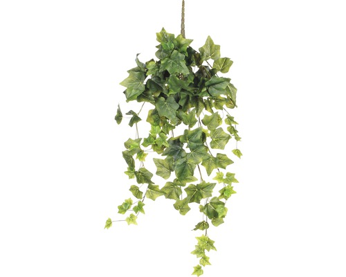 Kunstpflanze Mica Efeu Höhe: 71 cm grün