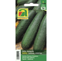 Gemüsesamen Austrosaat Salatgurke 'Ashley'