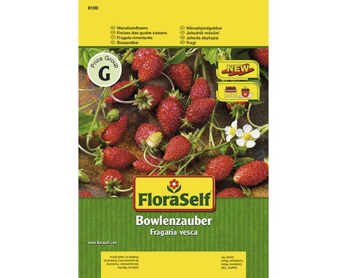 Erdbeere 'Bowlenz' FloraSelf samenfestes Saatgut Gemüsesamen