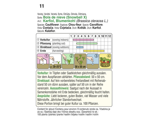 Aussaatkalender für Blumenkohl