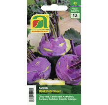 Kohlrabi Samen Delikateß blauer