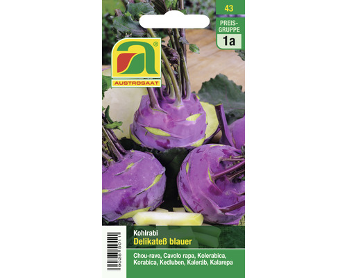 Kohlrabi Samen Delikateß blauer