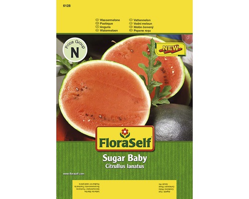 Wassermelone 'Sugar Baby' FloraSelf samenfestes Saatgut Gemüsesamen