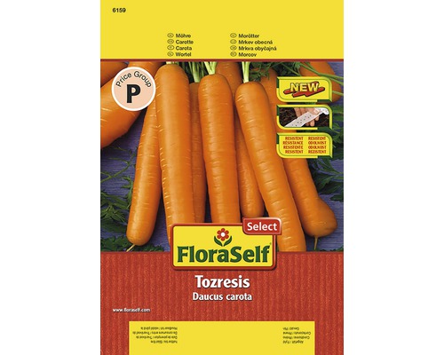 Möhre 'Tozresis' FloraSelfSelect F1 Hybride Gemüsesamen Saatband