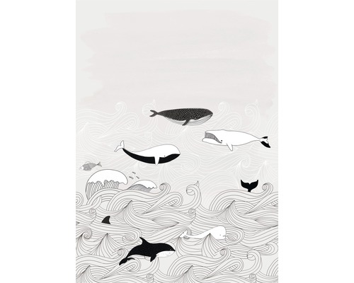 Fototapete Vlies 842531 Bambino XVIII Wal grau 200 x 280 cm Illustration von Walen im Ozean
