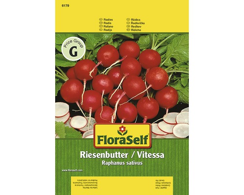 Radieschen 'Vitessa' FloraSelf samenfestes Saatgut Gemüsesamen