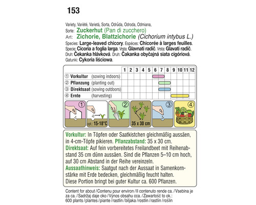 Informationen zum Anbau von Zuckerhut, Blattzichorie