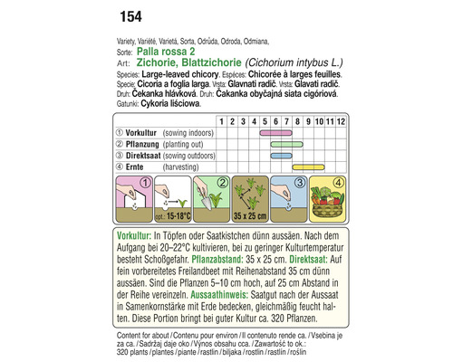 Informationen zu Zichorie, Blattzichorie, Sorte Palla rossa 2