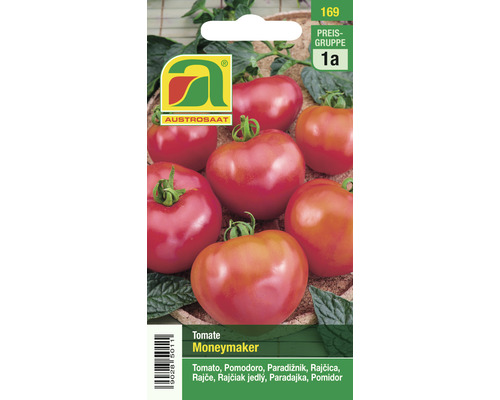 Gemüsesamen Austrosaat Tomate 'Moneymaker'