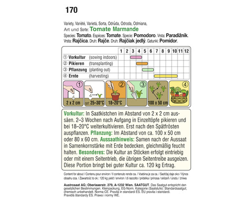 Tomatensorte Marmande Anbauinformationen