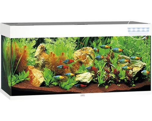 Aquarium JUWEL Rio 240 mit LED-Beleuchtung, Pumpe, Filter, Heizer ohne Unterschrank weiß