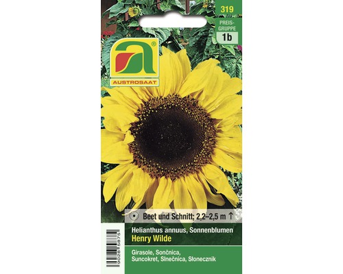 Blumensamen Austrosaat Sonnenblume 'Henry Wilde'