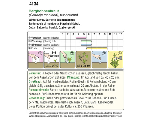 Informationen zum Anbau von Bergbohnenkraut