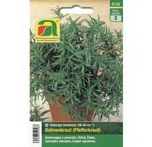 Samenpackung Bohnenkraut